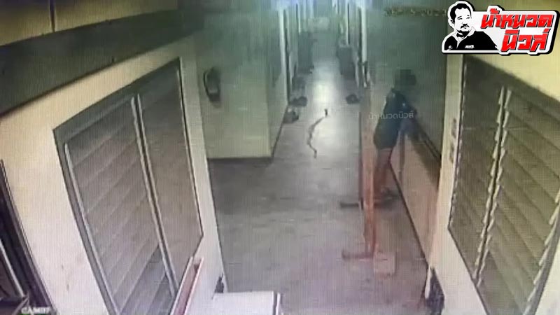 ลูกกระโดดตึกฆ่าตัวตาย ลูกกระโดดตึกฆ่าตัวตาย