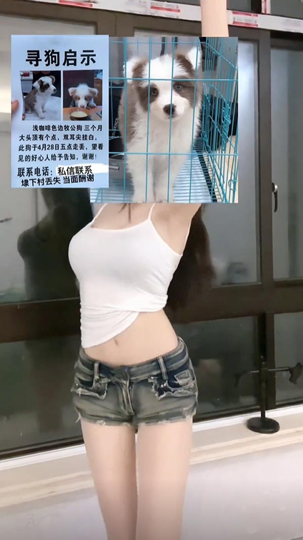 สาวเซ็กซี่ ประกาศตามหาหมา สาวเซ็กซี่ ประกาศตามหาหมา