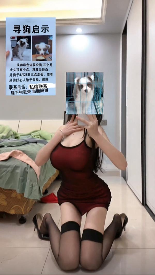 สาวเซ็กซี่ ประกาศตามหาหมา สาวเซ็กซี่ ประกาศตามหาหมา