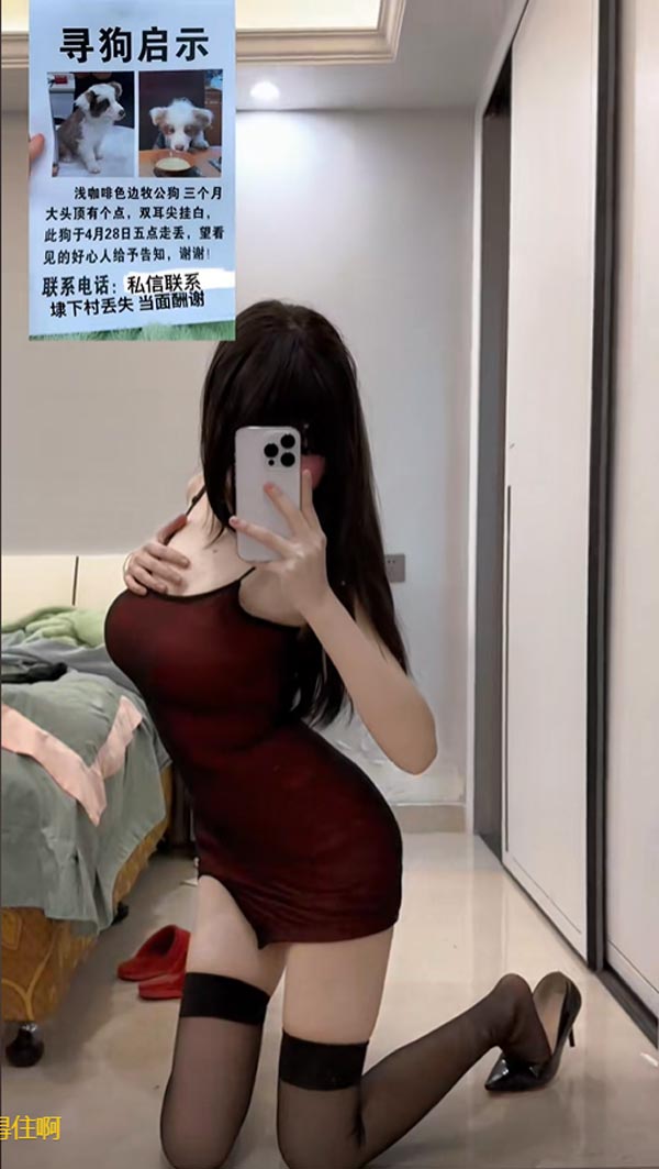 สาวเซ็กซี่ ประกาศตามหาหมา สาวเซ็กซี่ ประกาศตามหาหมา