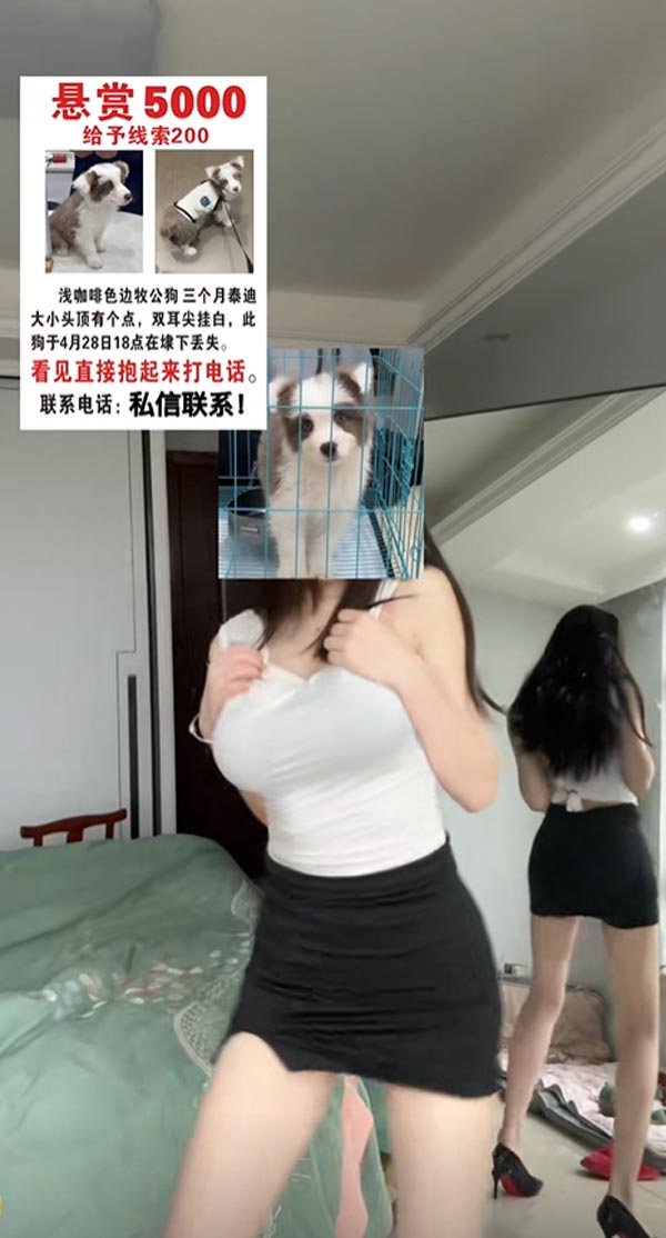 สาวเซ็กซี่ ประกาศตามหาหมา สาวเซ็กซี่ ประกาศตามหาหมา