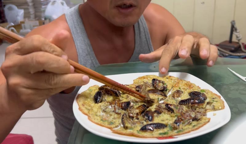 ไข่เจียวแมลงสาบ ไข่เจียวแมลงสาบ