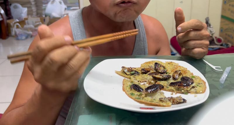 ไข่เจียวแมลงสาบ ไข่เจียวแมลงสาบ