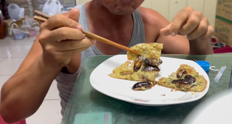 ไข่เจียวแมลงสาบ ไข่เจียวแมลงสาบ