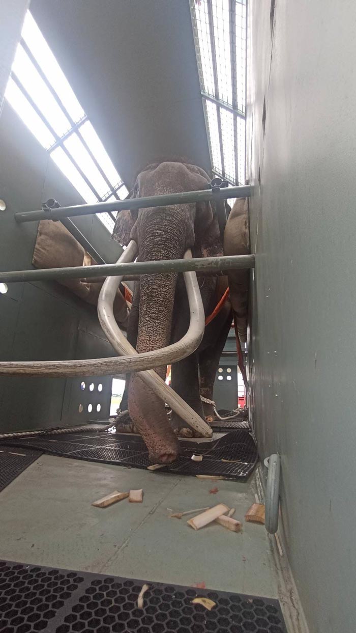 พลายศักดิ์สุรินทร์ พลายศักดิ์สุรินทร์