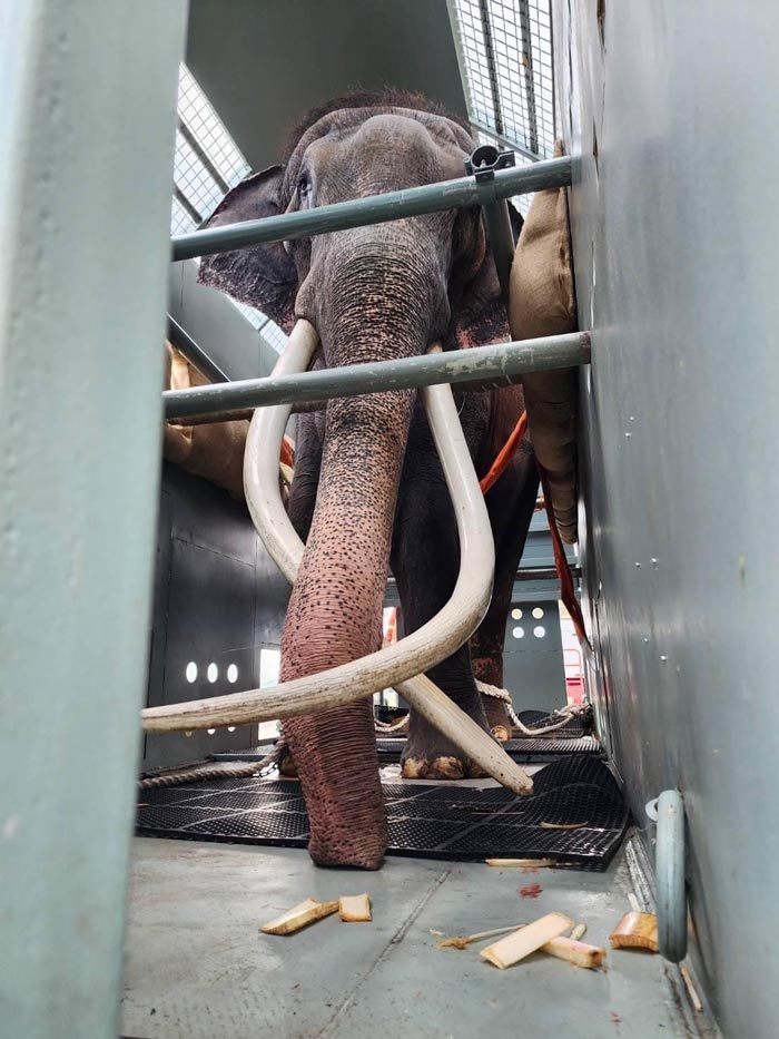 พลายศักดิ์สุรินทร์ พลายศักดิ์สุรินทร์