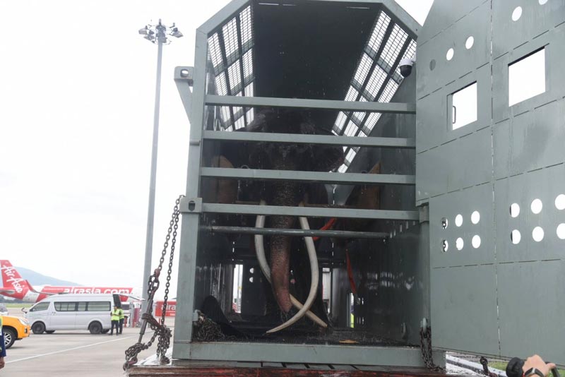 พลายศักดิ์สุรินทร์ พลายศักดิ์สุรินทร์