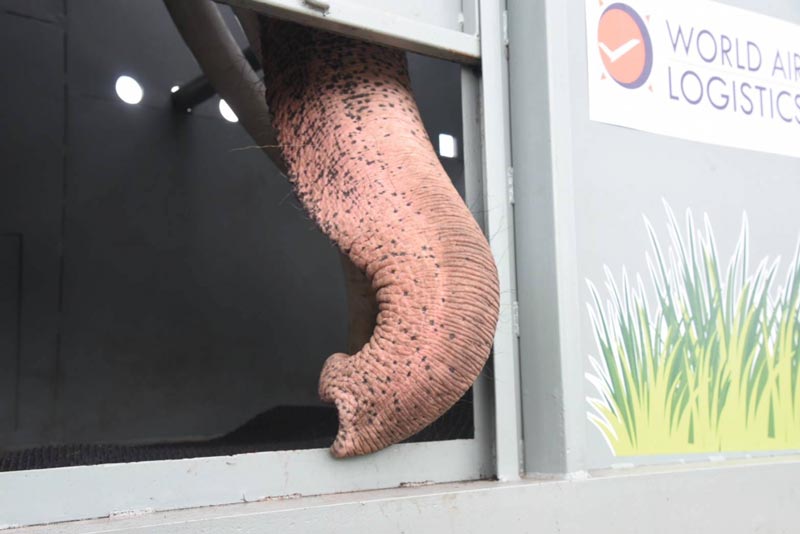 พลายศักดิ์สุรินทร์ พลายศักดิ์สุรินทร์