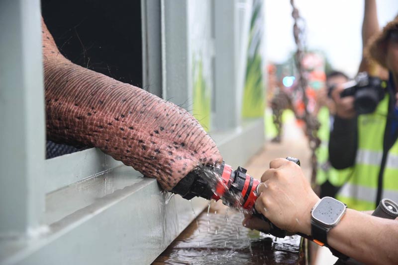 พลายศักดิ์สุรินทร์ พลายศักดิ์สุรินทร์