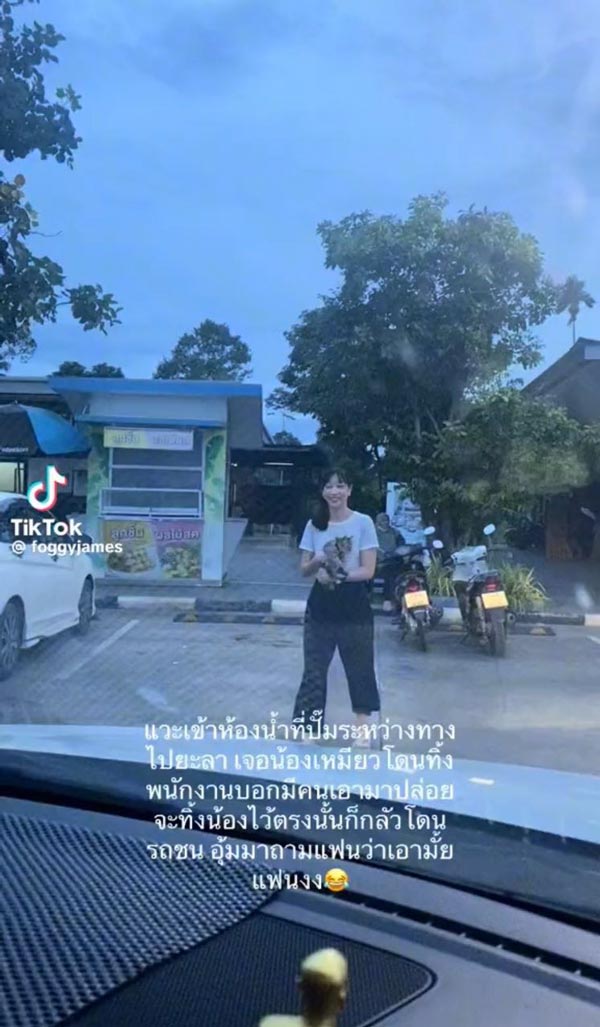 มนุษย์แฟนทาสแมว มนุษย์แฟนทาสแมว