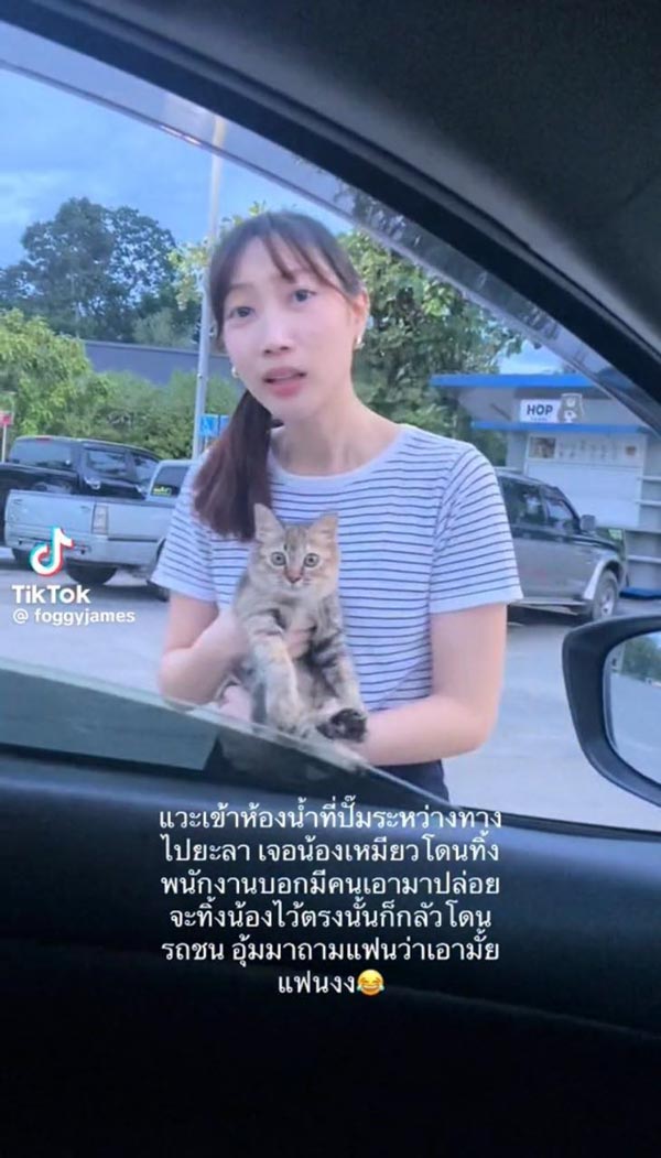 มนุษย์แฟนทาสแมว มนุษย์แฟนทาสแมว