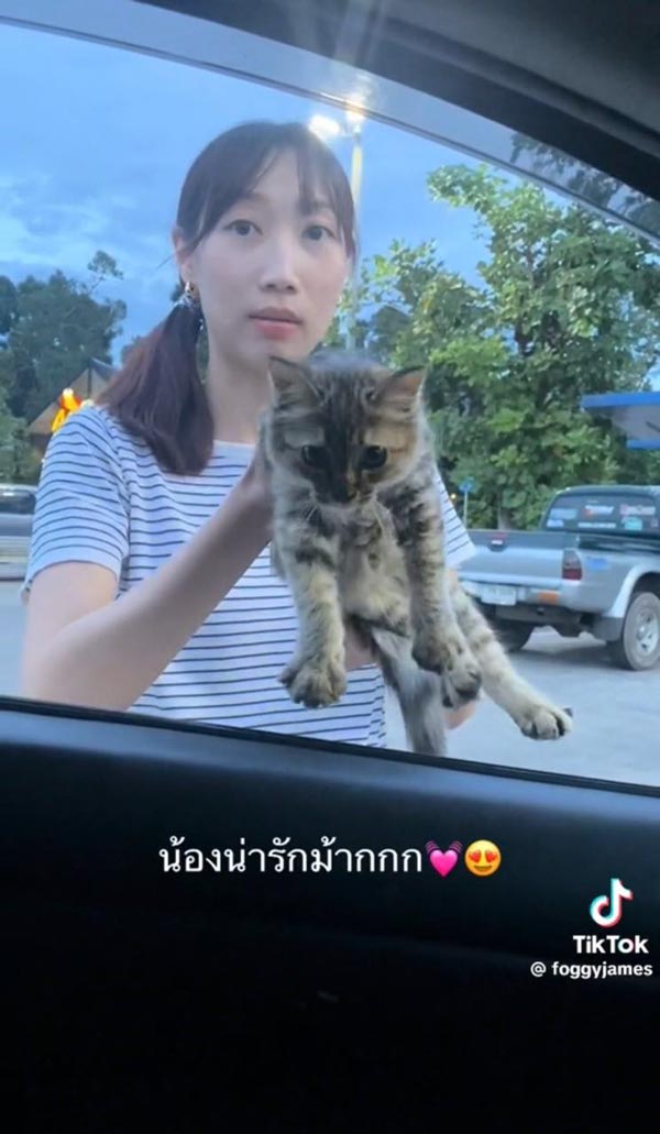 มนุษย์แฟนทาสแมว มนุษย์แฟนทาสแมว