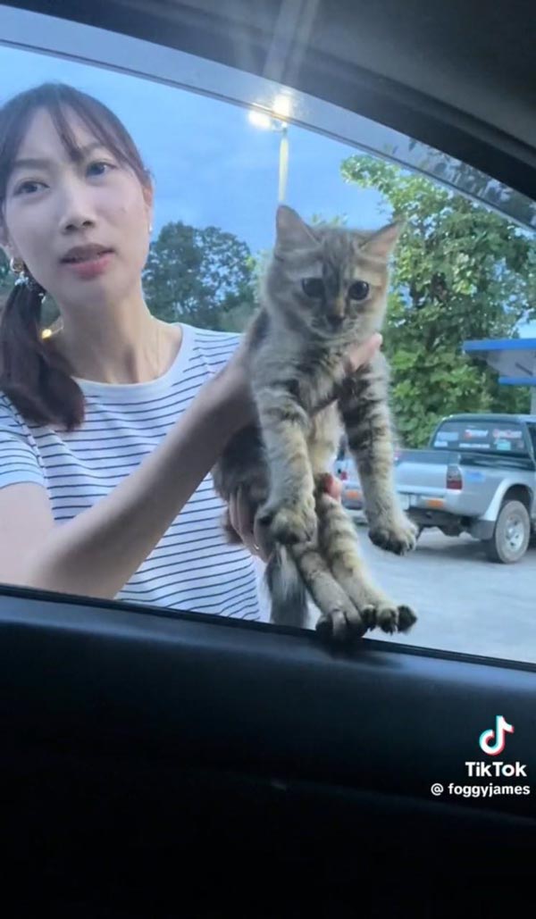 มนุษย์แฟนทาสแมว มนุษย์แฟนทาสแมว