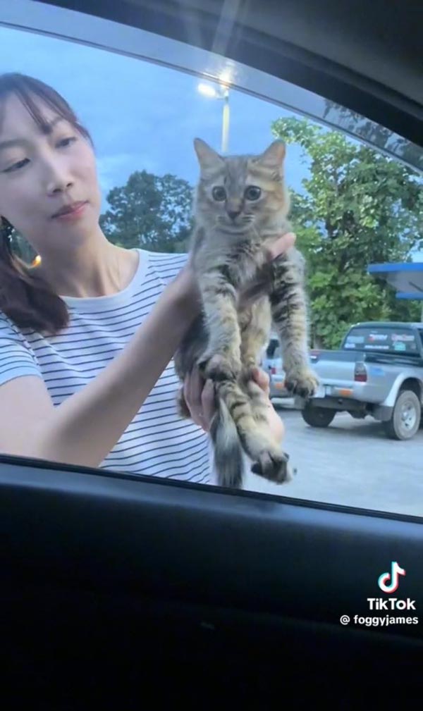 มนุษย์แฟนทาสแมว มนุษย์แฟนทาสแมว