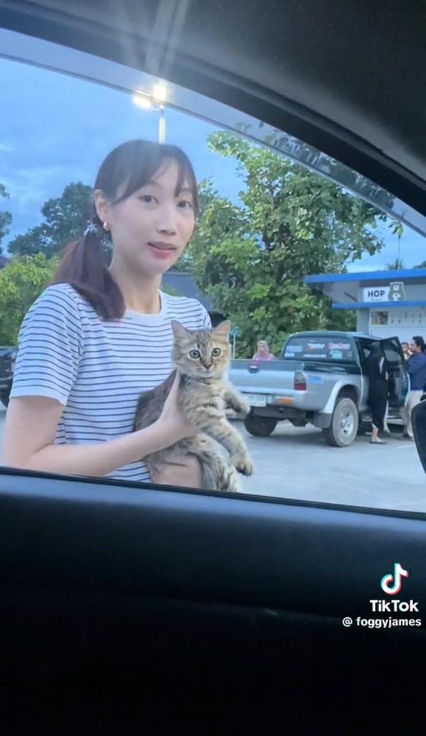 มนุษย์แฟนทาสแมว มนุษย์แฟนทาสแมว