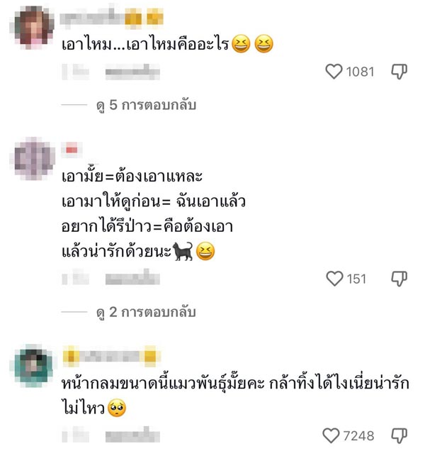 มนุษย์แฟนทาสแมว มนุษย์แฟนทาสแมว