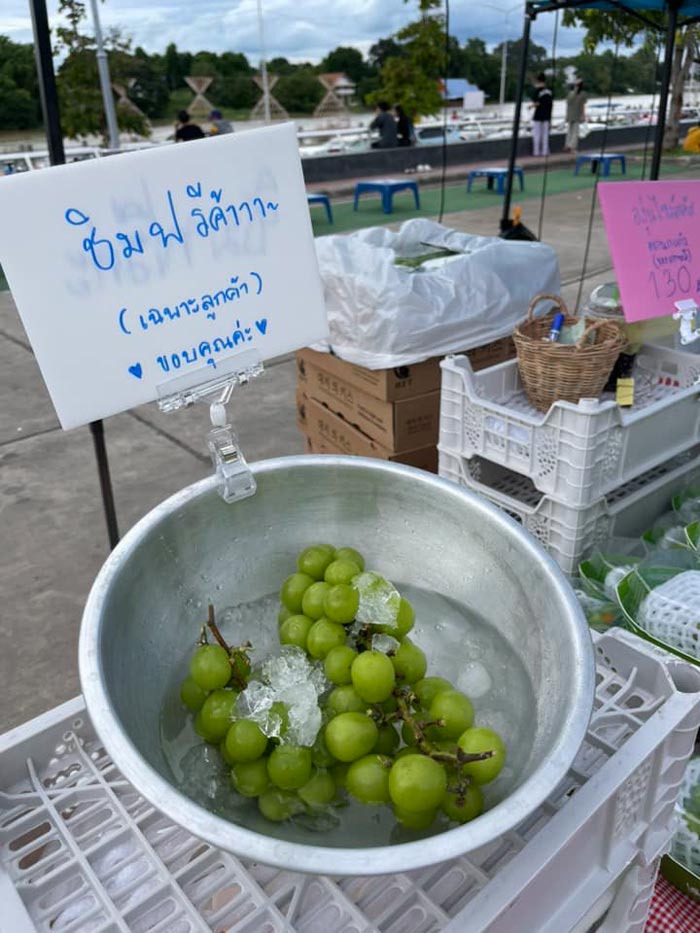 ชิมองุ่นฟรี ชิมองุ่นฟรี
