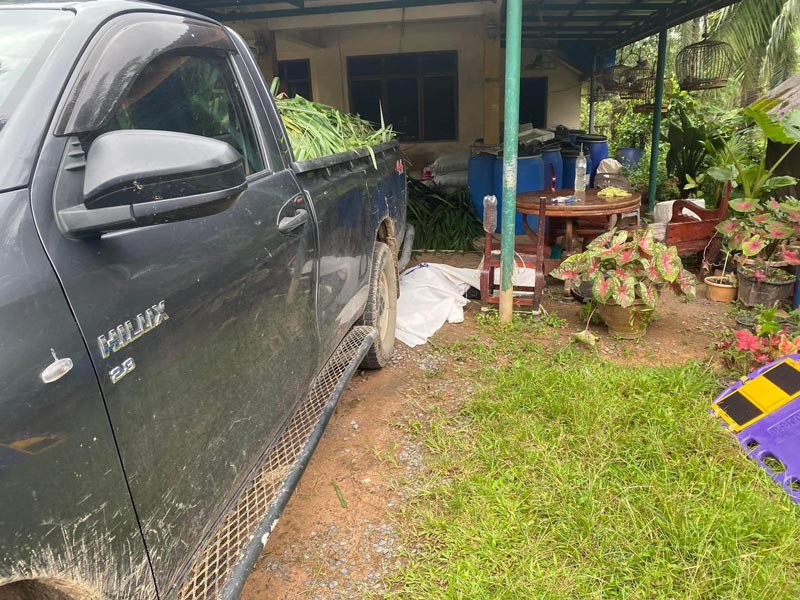 หลานฆ่าลุง หลานฆ่าลุง