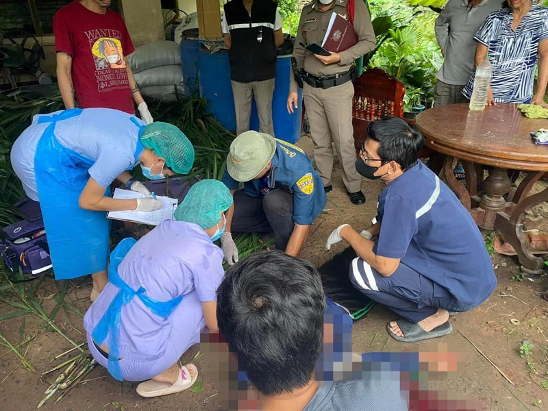 หลานฆ่าลุง หลานฆ่าลุง