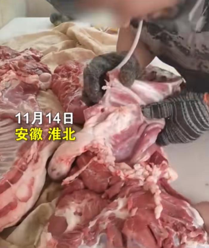 เทคนิคใช้ปากเลาะกระดูก เทคนิคใช้ปากเลาะกระดูก