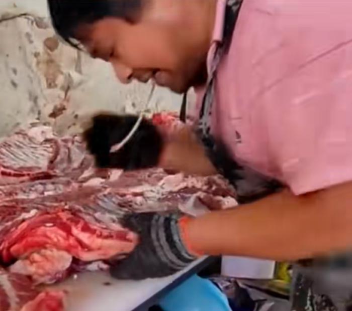 เทคนิคใช้ปากเลาะกระดูก เทคนิคใช้ปากเลาะกระดูก