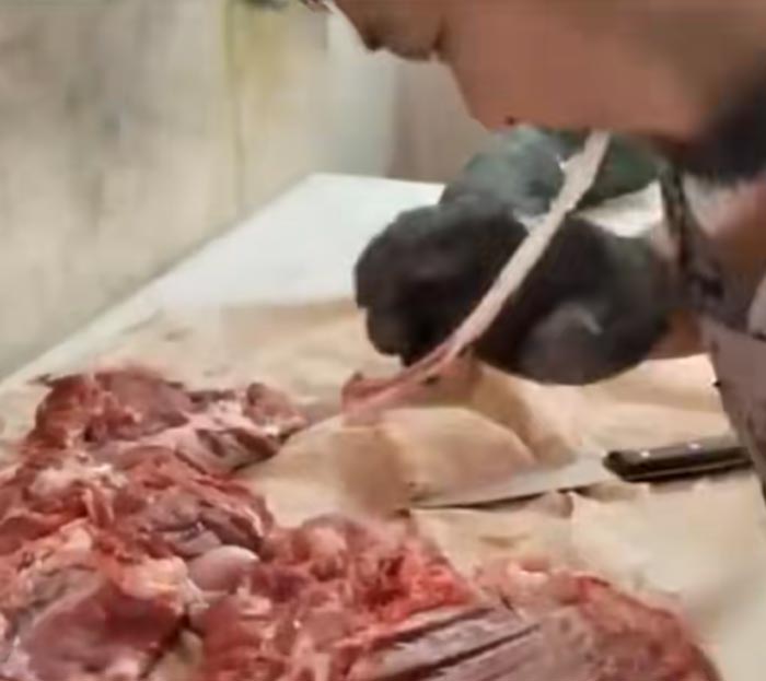 เทคนิคใช้ปากเลาะกระดูก เทคนิคใช้ปากเลาะกระดูก