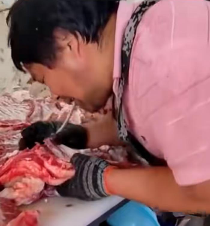 เทคนิคใช้ปากเลาะกระดูก เทคนิคใช้ปากเลาะกระดูก