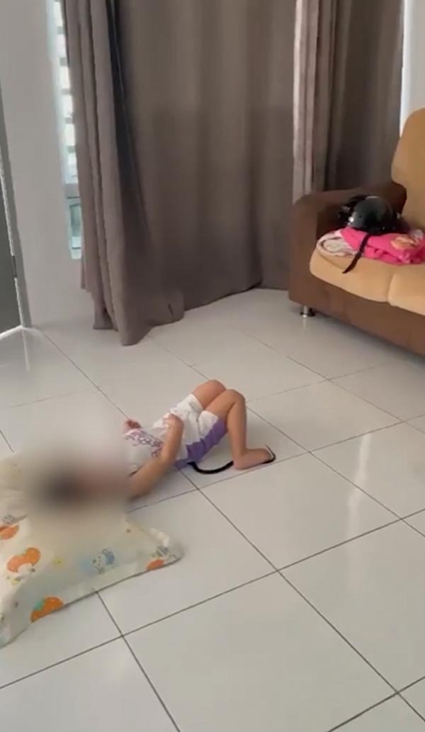 งูพิษเข้าบ้าน งูพิษเข้าบ้าน