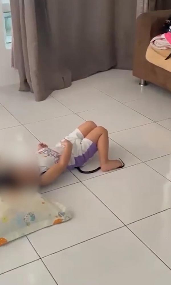 งูพิษเข้าบ้าน งูพิษเข้าบ้าน