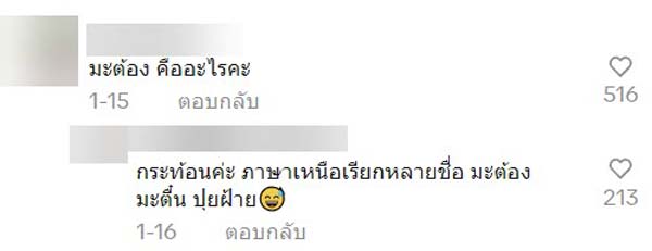 ฝรั่งโดนโกงกระท้อน ฝรั่งโดนโกงกระท้อน