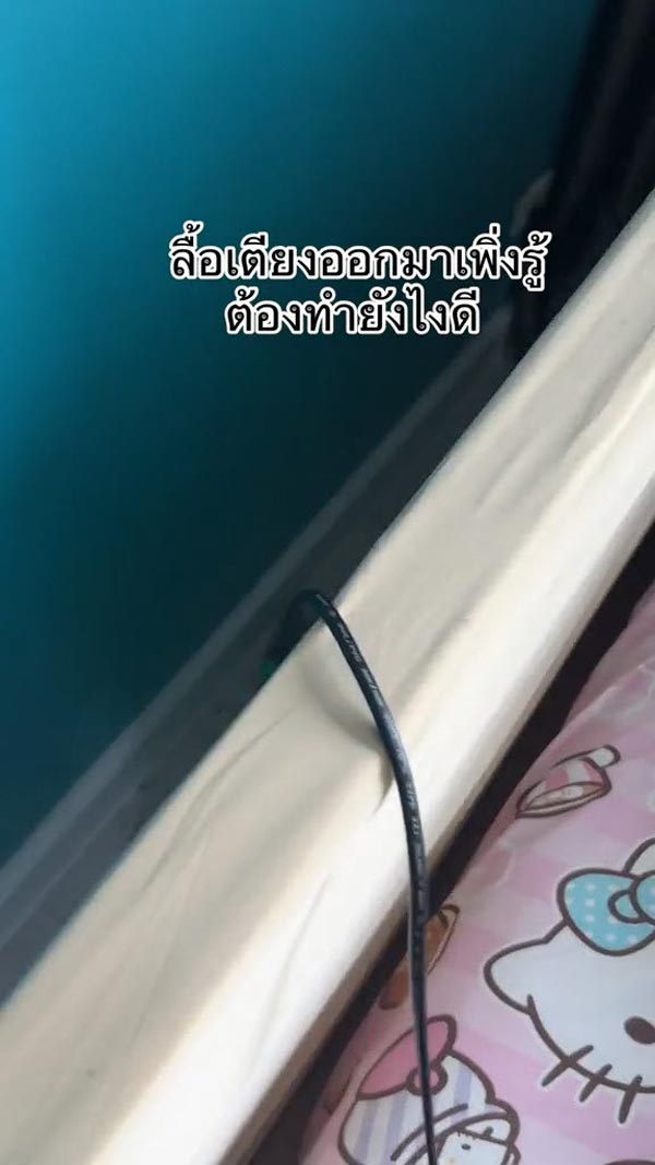 เจอของปริศนาซุกหัวเตียง เจอของปริศนาซุกหัวเตียง