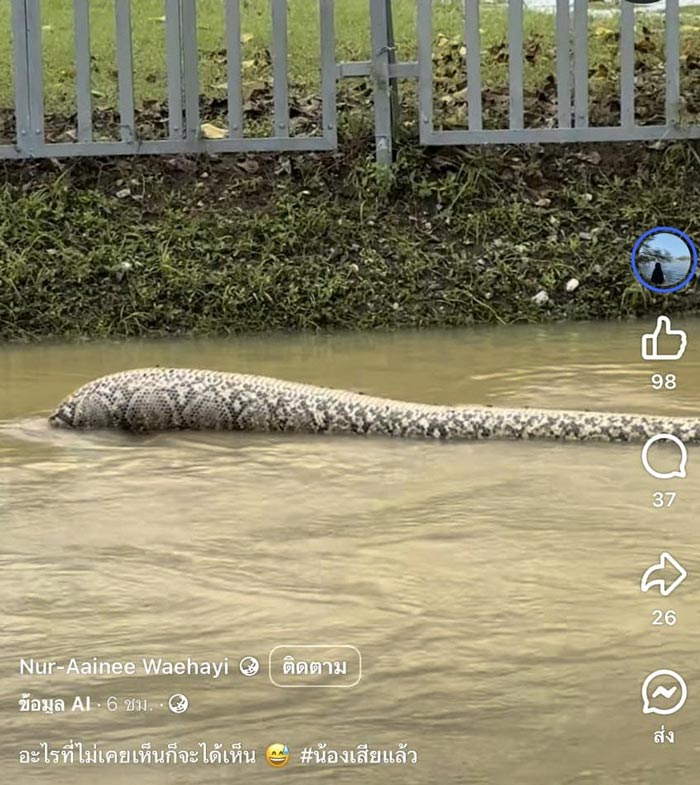 สิ่งที่โผล่มากับน้ำท่วม สิ่งที่โผล่มากับน้ำท่วม