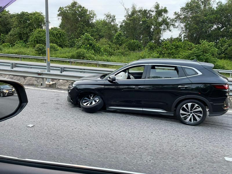 จระเข้ ถูกรถชน จระเข้ ถูกรถชน