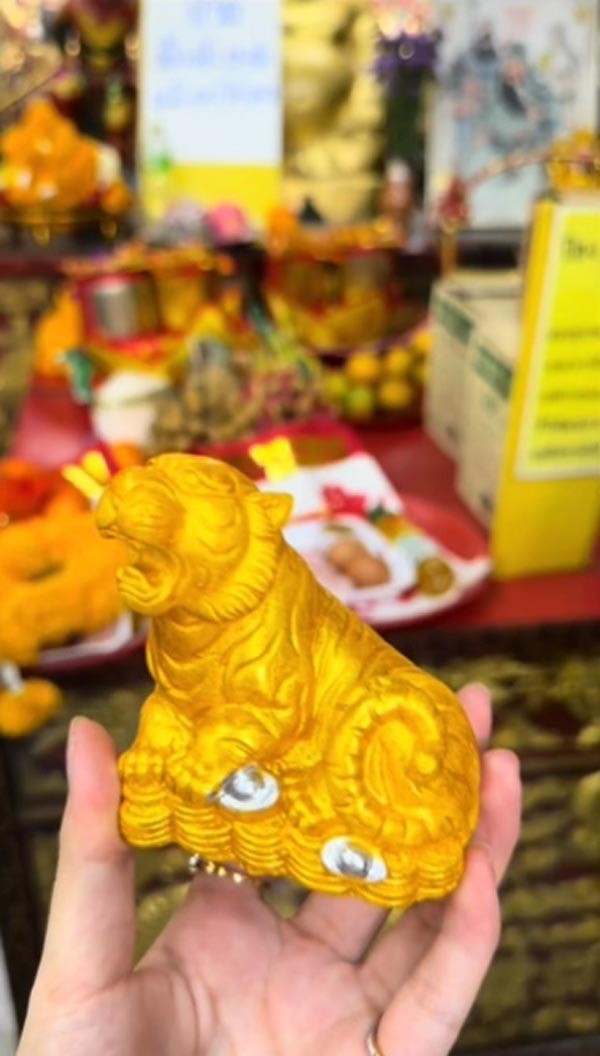 แก้ชงตรุษจีน ศาลเจ้าพ่อเสือ แก้ชงตรุษจีน ศาลเจ้าพ่อเสือ