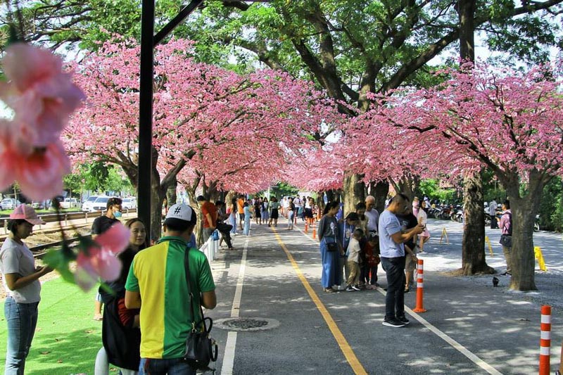 คุณเอ็กซ์ เศรษฐภัทร เสียชีวิต คุณเอ็กซ์ เศรษฐภัทร เสียชีวิต