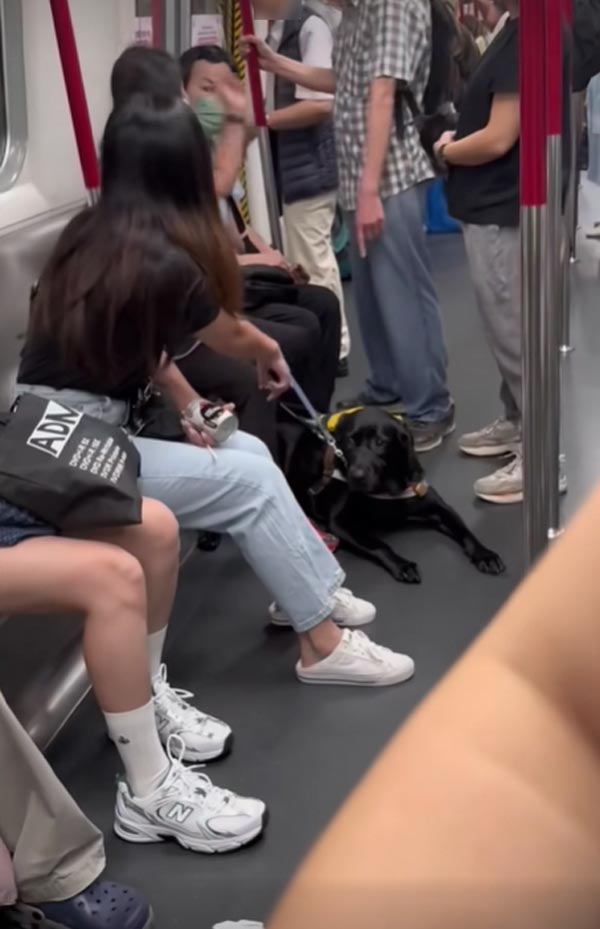 สุนัขนำทางขึ้นรถไฟฟ้า สุนัขนำทางขึ้นรถไฟฟ้า