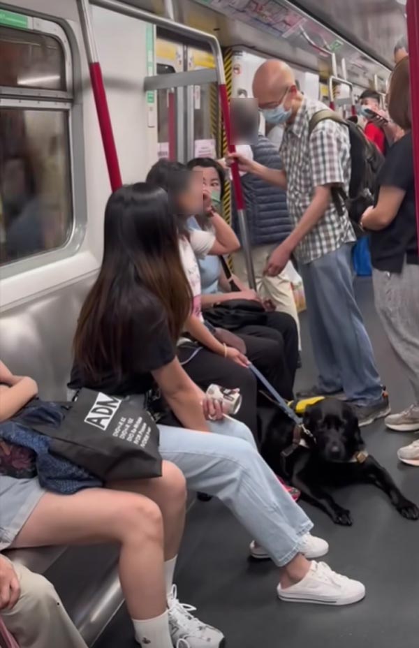 สุนัขนำทางขึ้นรถไฟฟ้า สุนัขนำทางขึ้นรถไฟฟ้า