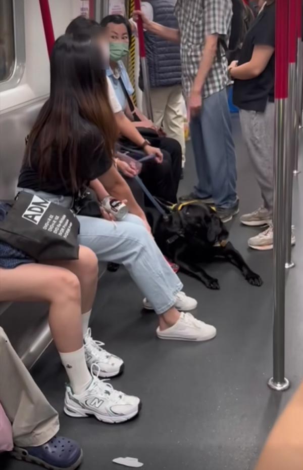 สุนัขนำทางขึ้นรถไฟฟ้า สุนัขนำทางขึ้นรถไฟฟ้า