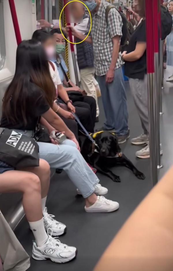 สุนัขนำทางขึ้นรถไฟฟ้า สุนัขนำทางขึ้นรถไฟฟ้า