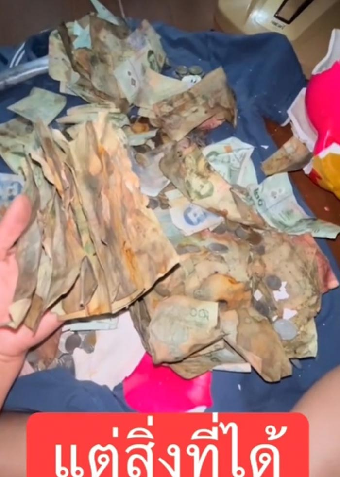 เก็บเงินในกระปุก เก็บเงินในกระปุก