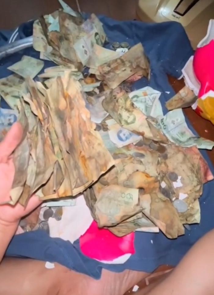 เก็บเงินในกระปุก เก็บเงินในกระปุก