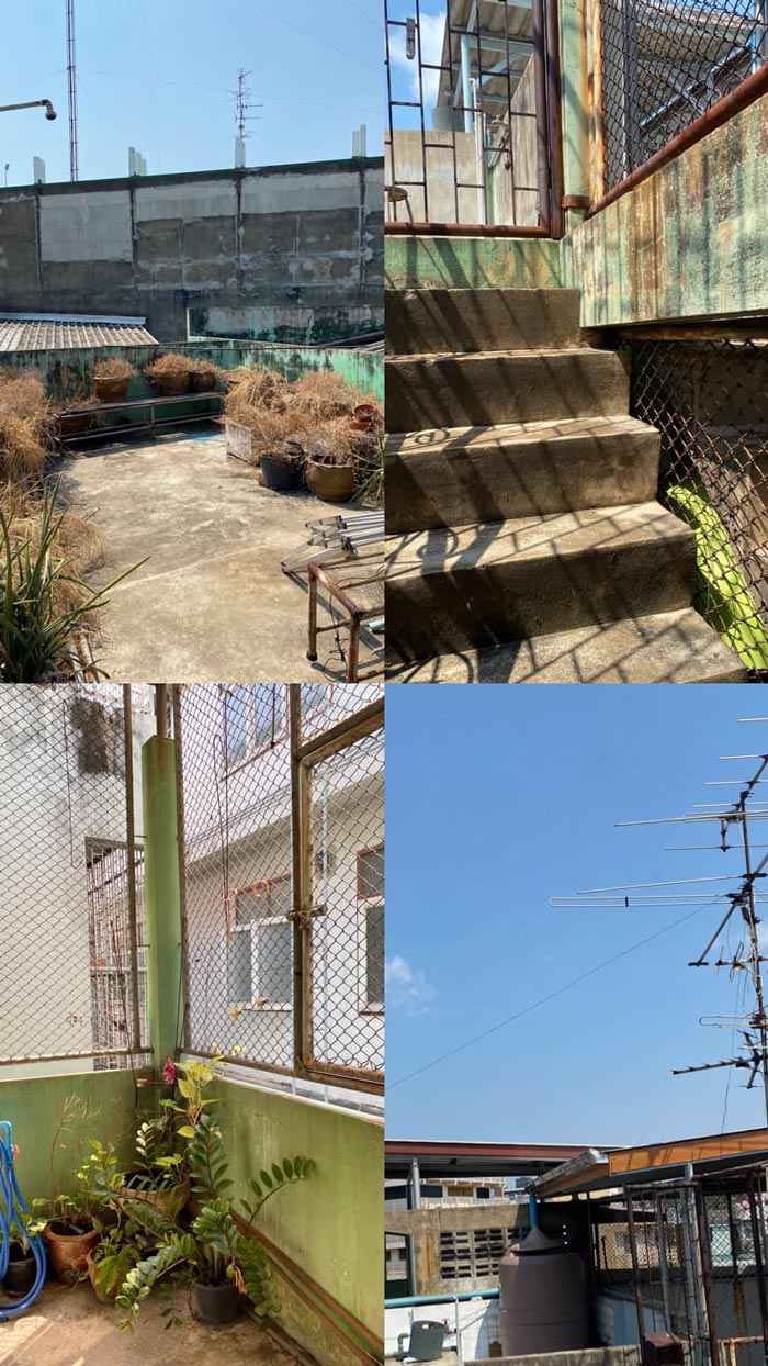 ขายตึกแถวบ้านอาม่า หลานม่า ขายตึกแถวบ้านอาม่า หลานม่า