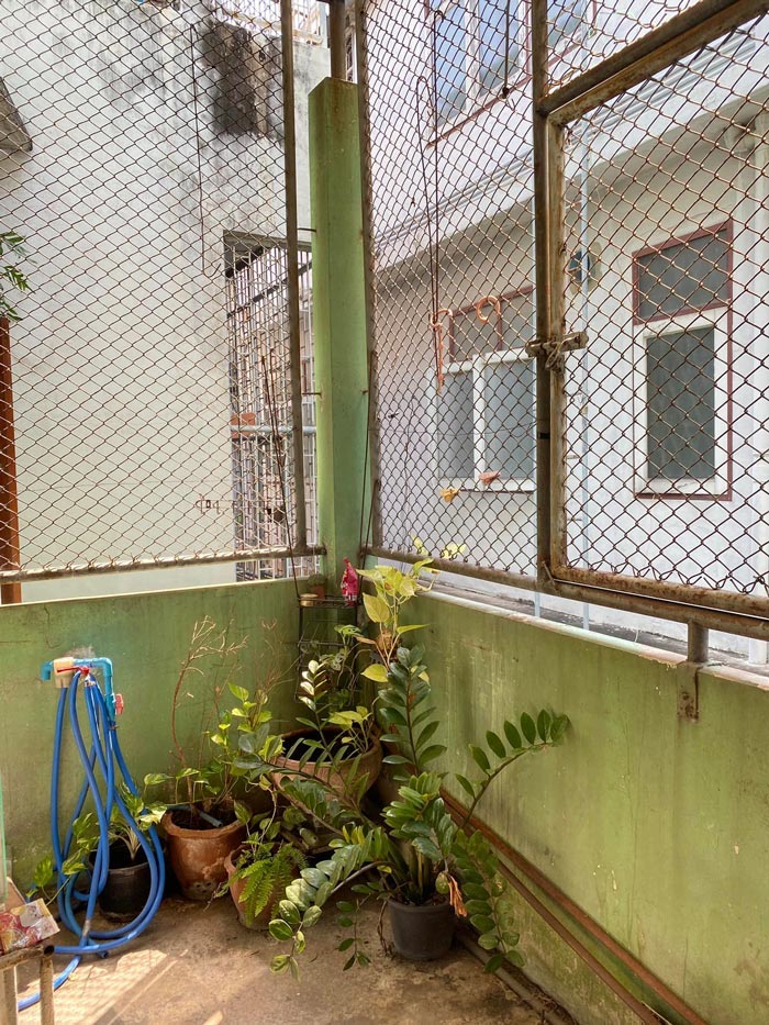 ขายตึกแถวบ้านอาม่า หลานม่า ขายตึกแถวบ้านอาม่า หลานม่า