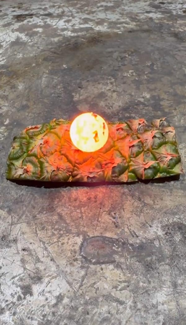 เปลือกสับปะรด เปลือกสับปะรด