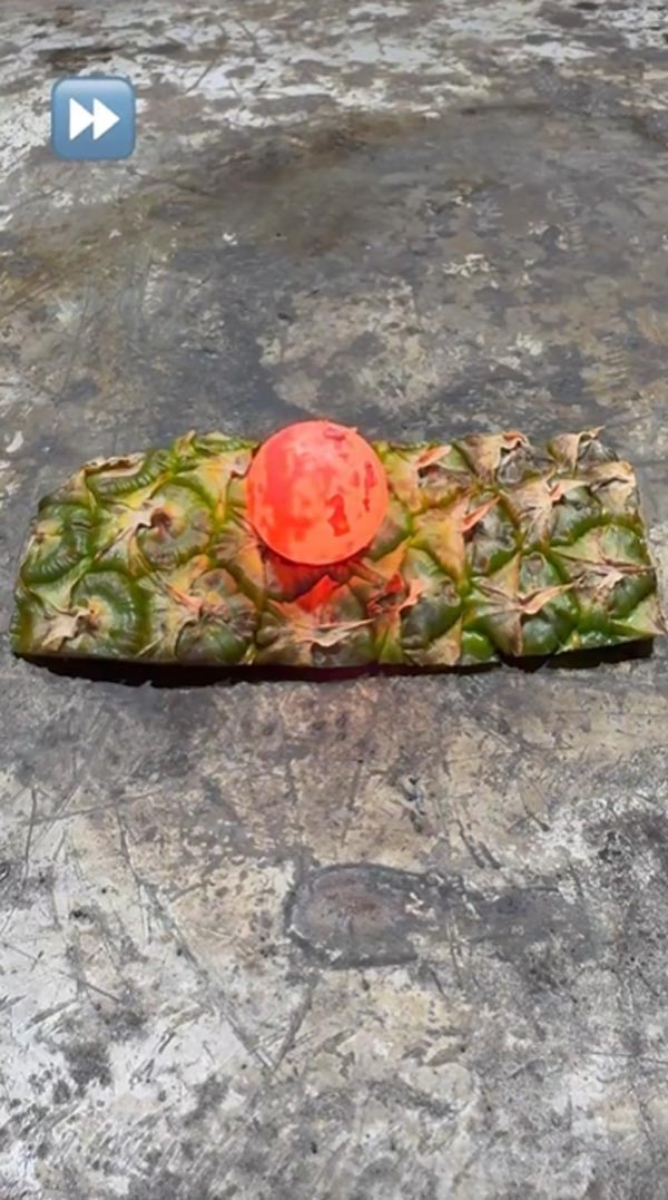 เปลือกสับปะรด เปลือกสับปะรด