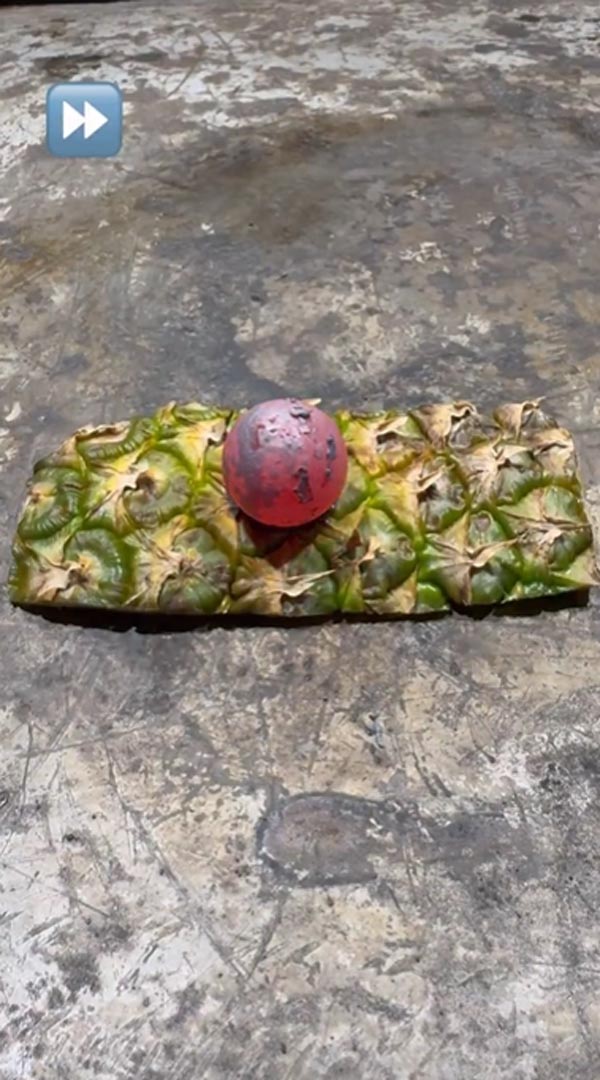 เปลือกสับปะรด เปลือกสับปะรด