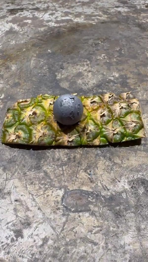 เปลือกสับปะรด เปลือกสับปะรด