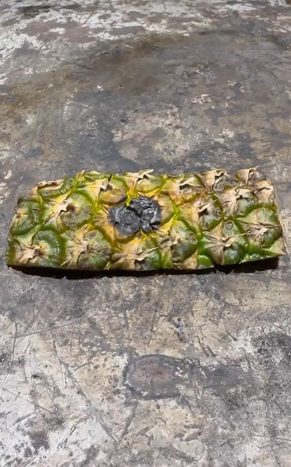 เปลือกสับปะรด เปลือกสับปะรด