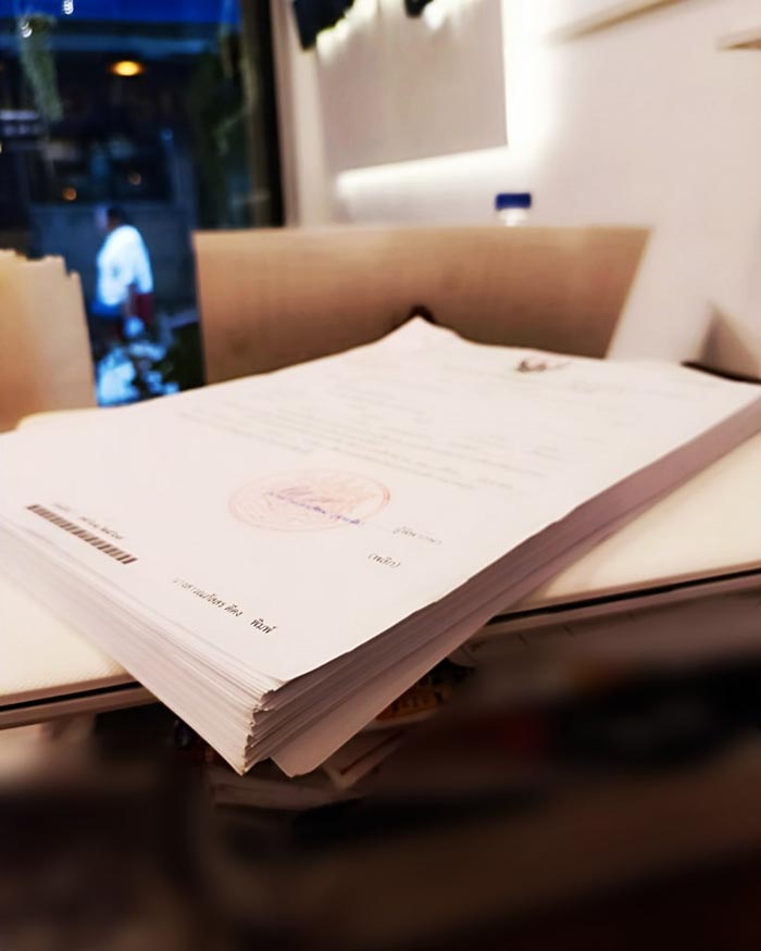 ฟ้องคาเฟ่แมว ลูกค้าโดนแมวกัด ฟ้องคาเฟ่แมว ลูกค้าโดนแมวกัด