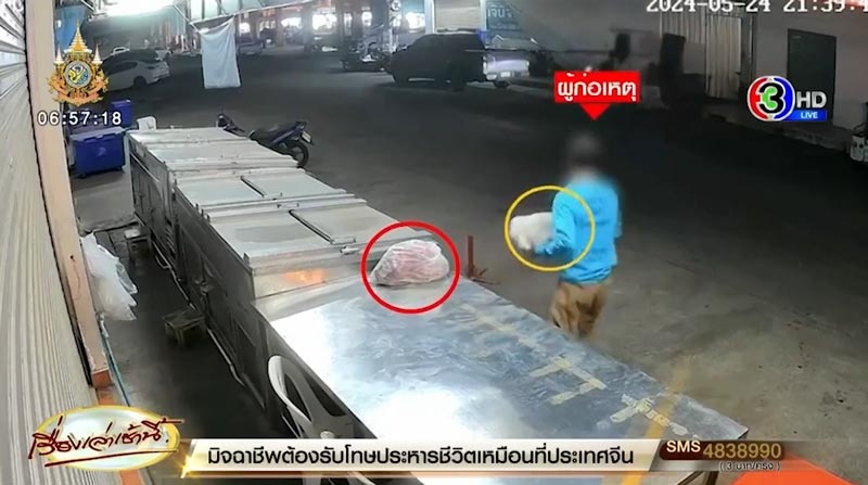 ขโมยลูกชิ้นยืนกิน ขโมยลูกชิ้นยืนกิน